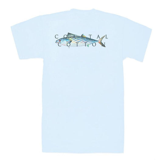 Coastal Cotton Boys Bonito Short Sleeve T-Shirt babysupermarket