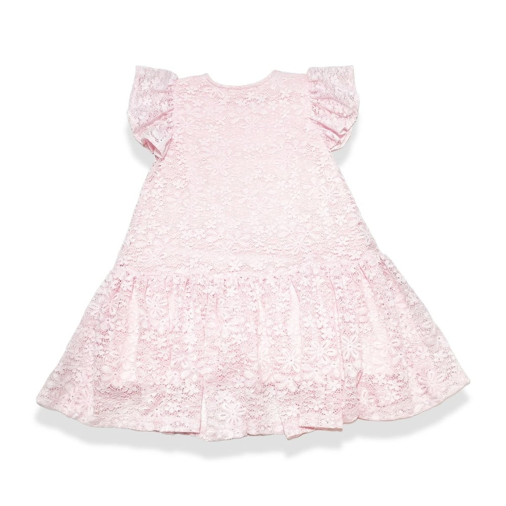 Doe a Deer Girls Pink Dropwaist Lace Dress babysupermarket