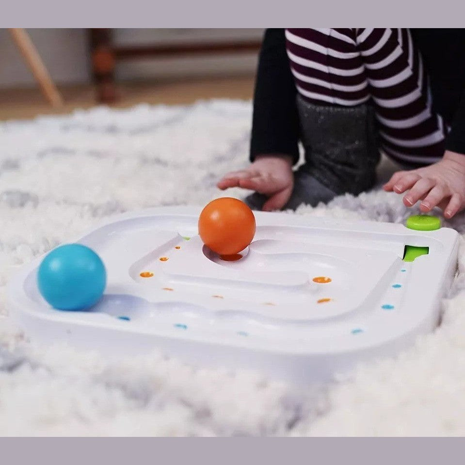 Fat Brain RollAgain Maze