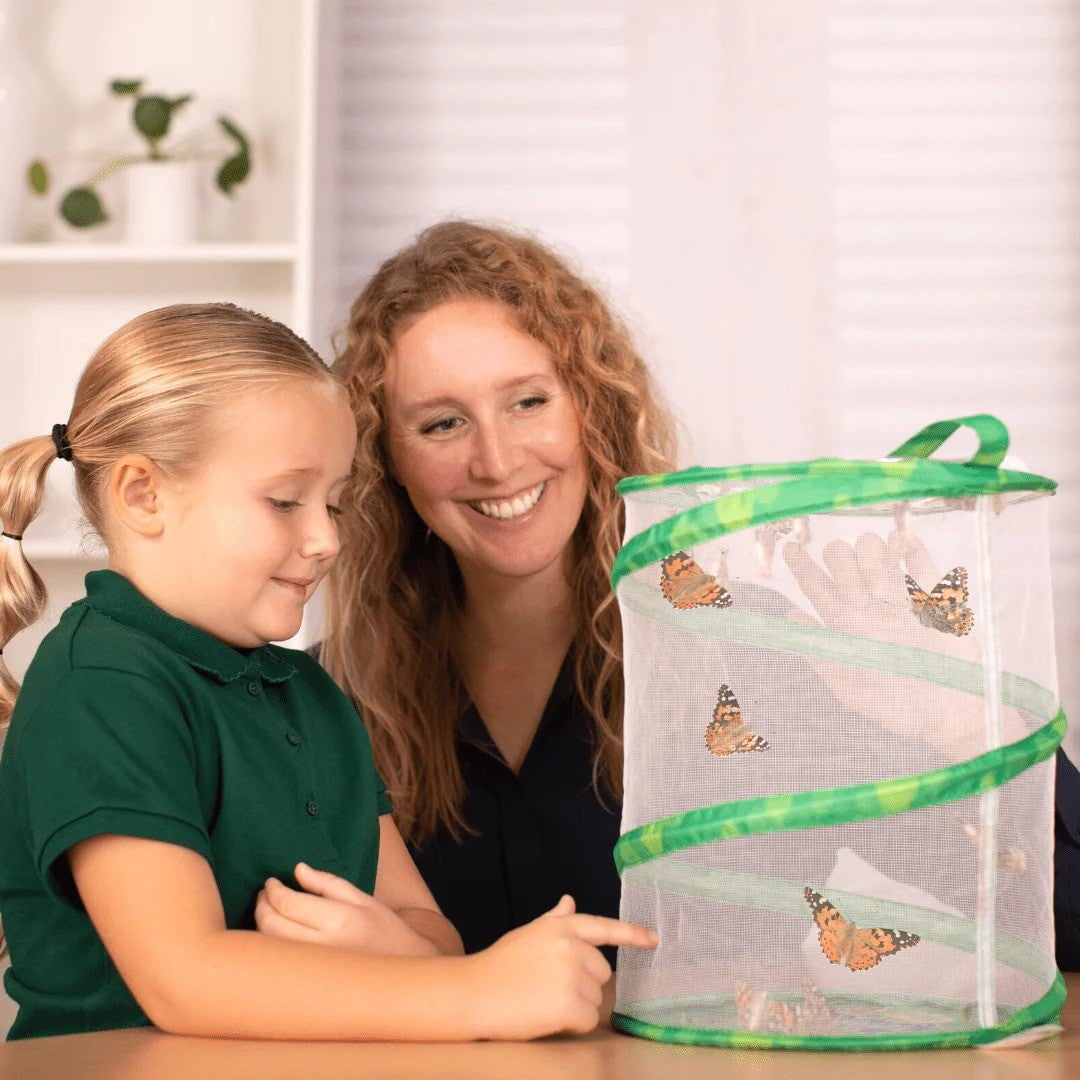 Insect Lore Butterfly Garden - Raise & Release Life Cycle Kit