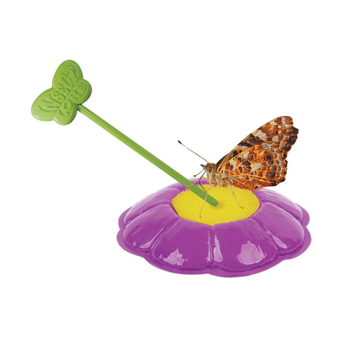Insect Lore Butterfly Garden - Raise & Release Life Cycle Kit