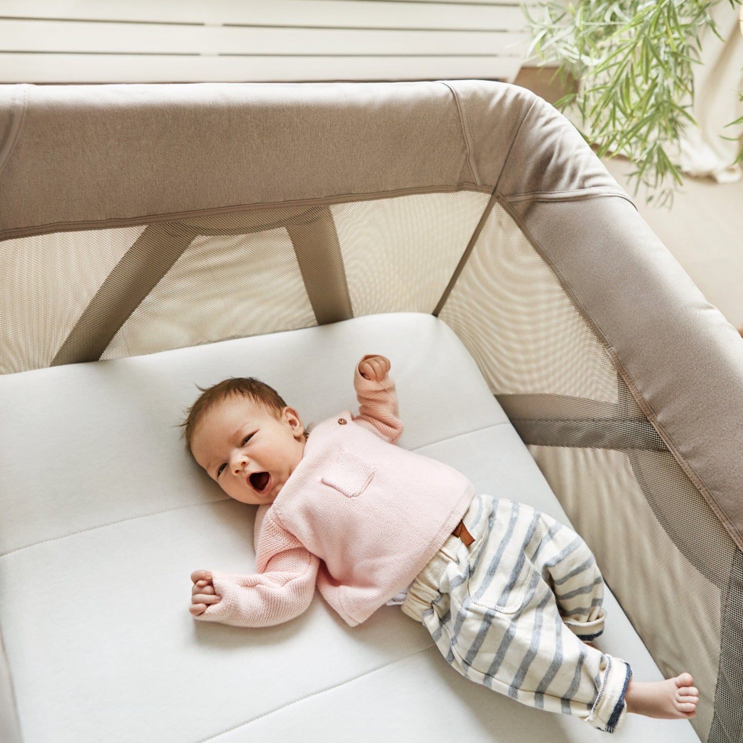 NUNA Playpens Nuna SENA Aire Playard with Zip-Off Bassinet