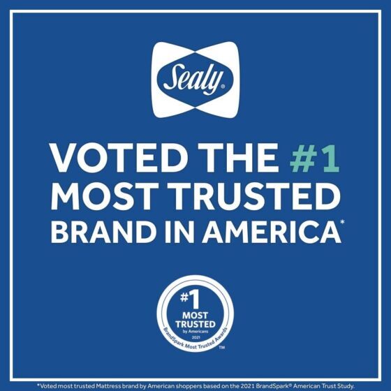 Sealy Orion Lightweight Antibacterial 2-Stage