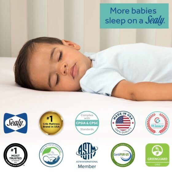 Sealy Orion Lightweight Antibacterial 2-Stage