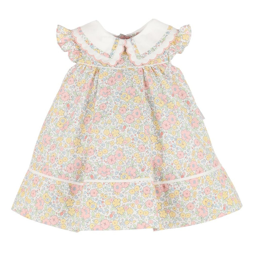 Sophie & Lucas Miller Collar Dress