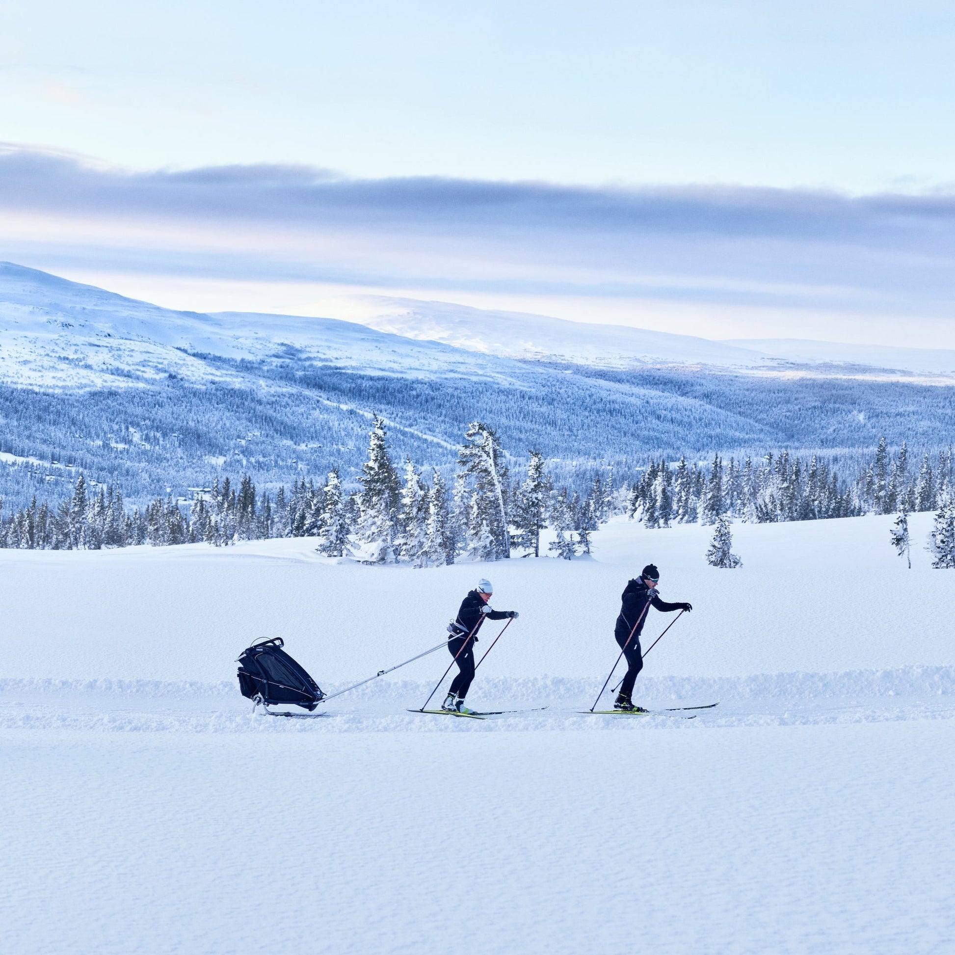 Thule Stroller Accessories Thule Chariot Ski Kit | Sport / Cross / Lite