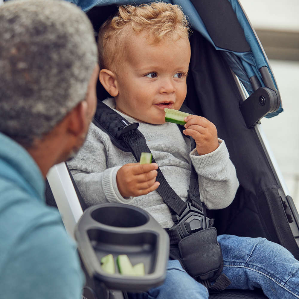 Thule Stroller Accessories Thule Spring Snack Tray