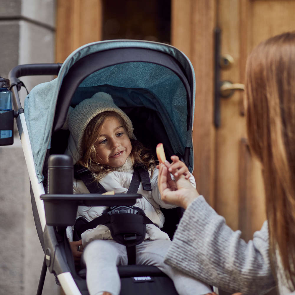 Thule Strollers - Single Thule Spring Stroller