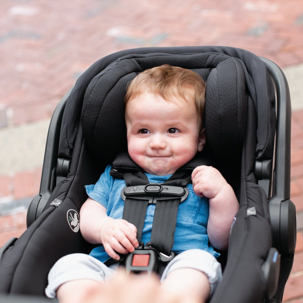 UPPAbaby Car Seats - Infant UPPAbaby Mesa V2 Infant Car Seat + Base