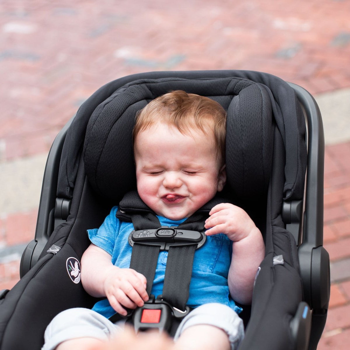 UPPAbaby Car Seats - Infant UPPAbaby Mesa V2 Infant Car Seat + Base