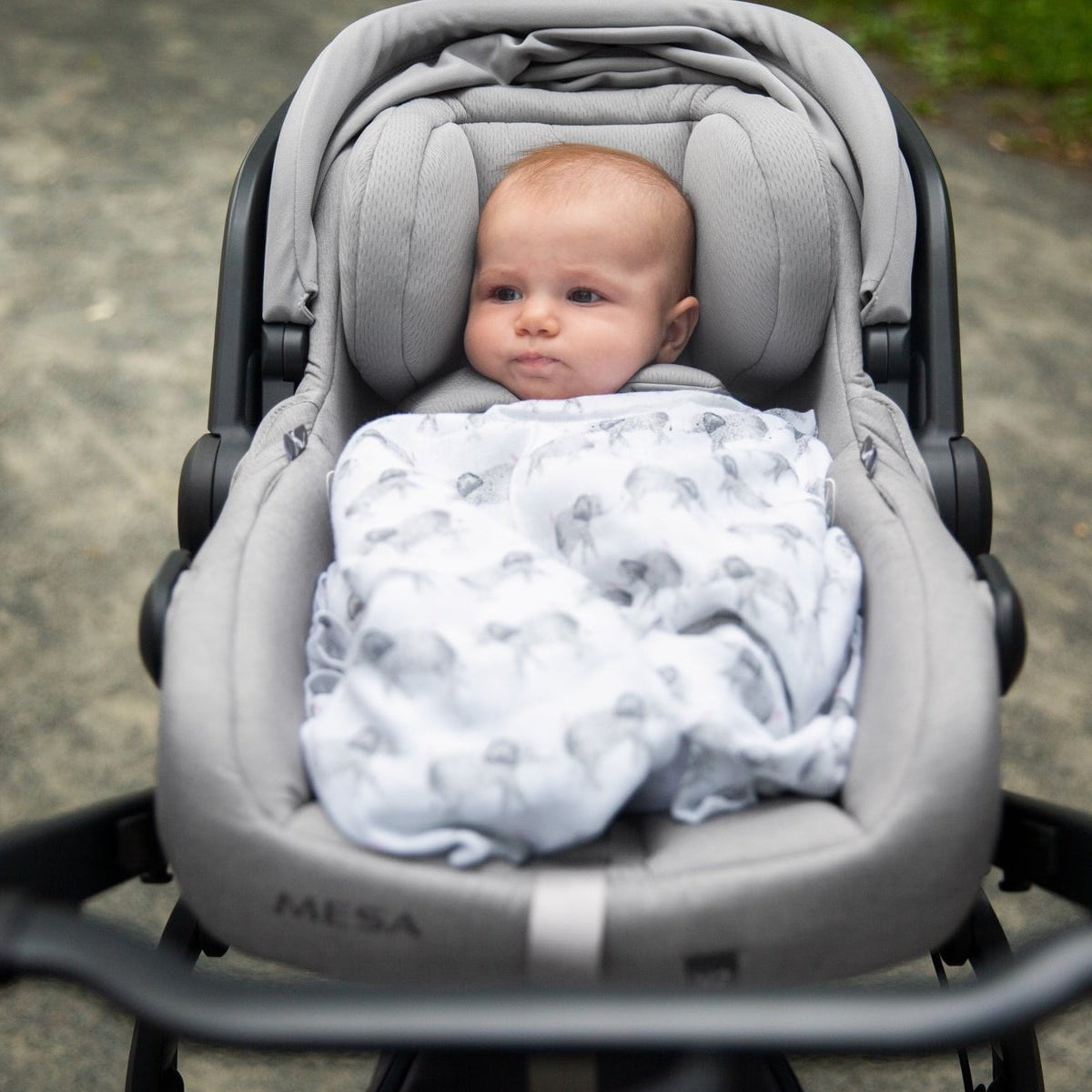 UPPAbaby Car Seats - Infant UPPAbaby Mesa V2 Infant Car Seat + Base