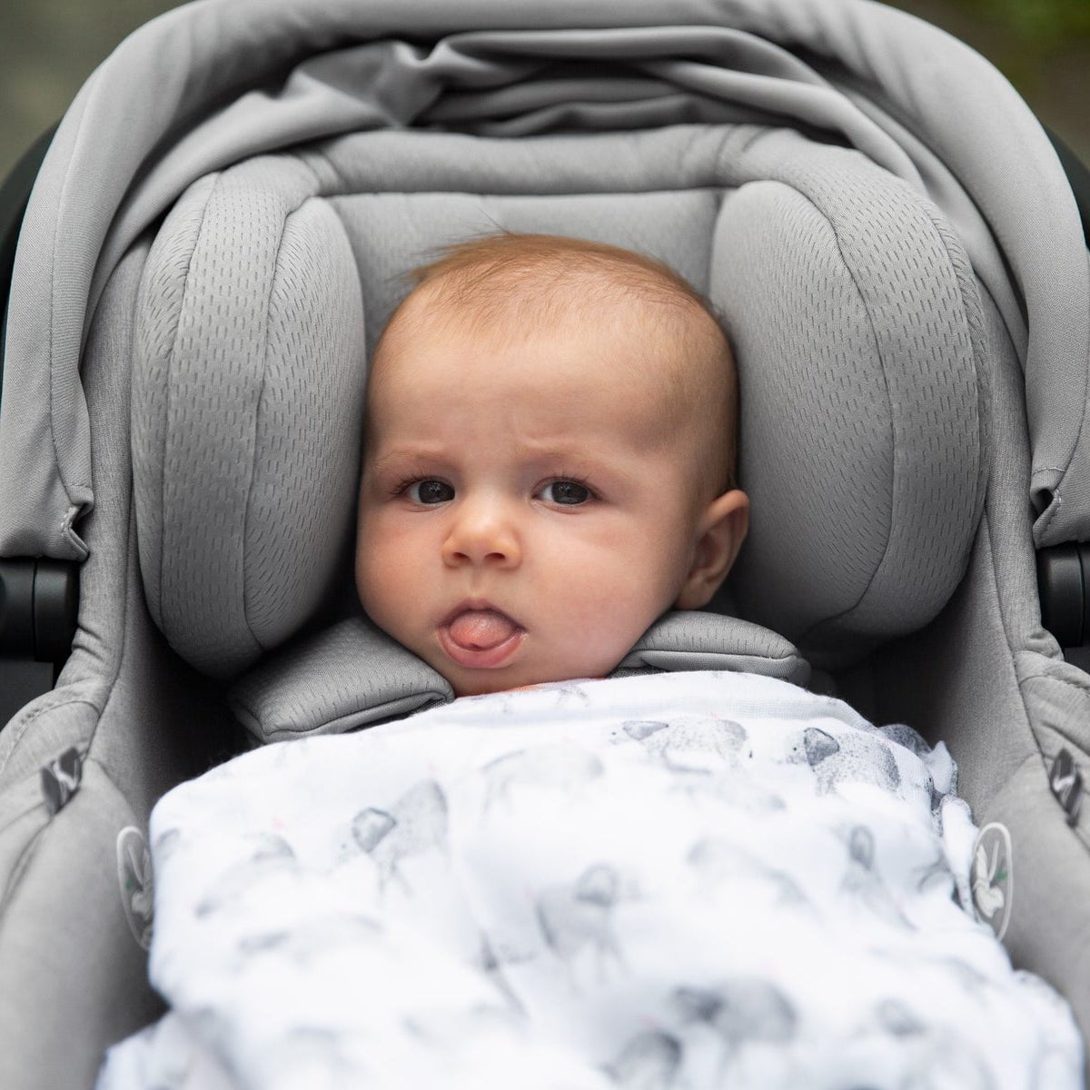 UPPAbaby Car Seats - Infant UPPAbaby Mesa V2 Infant Car Seat + Base