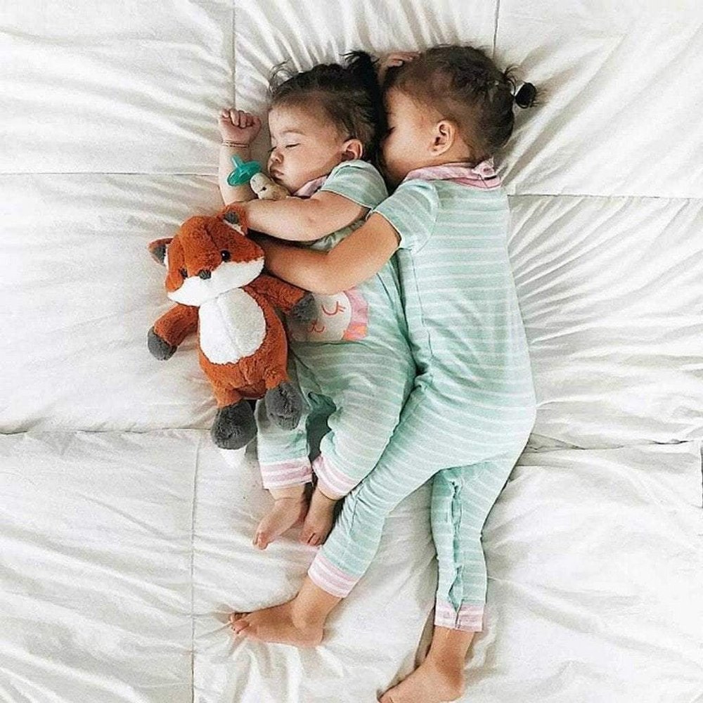 CloudB Frankie the Fox Sound Machine Plush