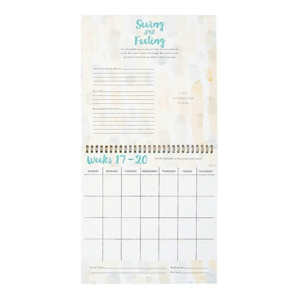 CR Gibson Baby on the Way Pregnancy Calendar