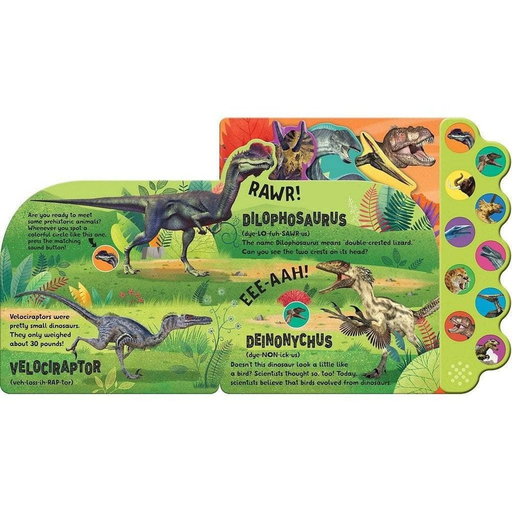 Cottage Door PressCrash!Stomp!Roar! Dinosaur Children's Sound BookBabysupermarket