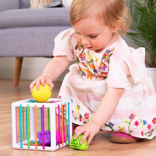 Fat Brain Toy Co. InnyBin