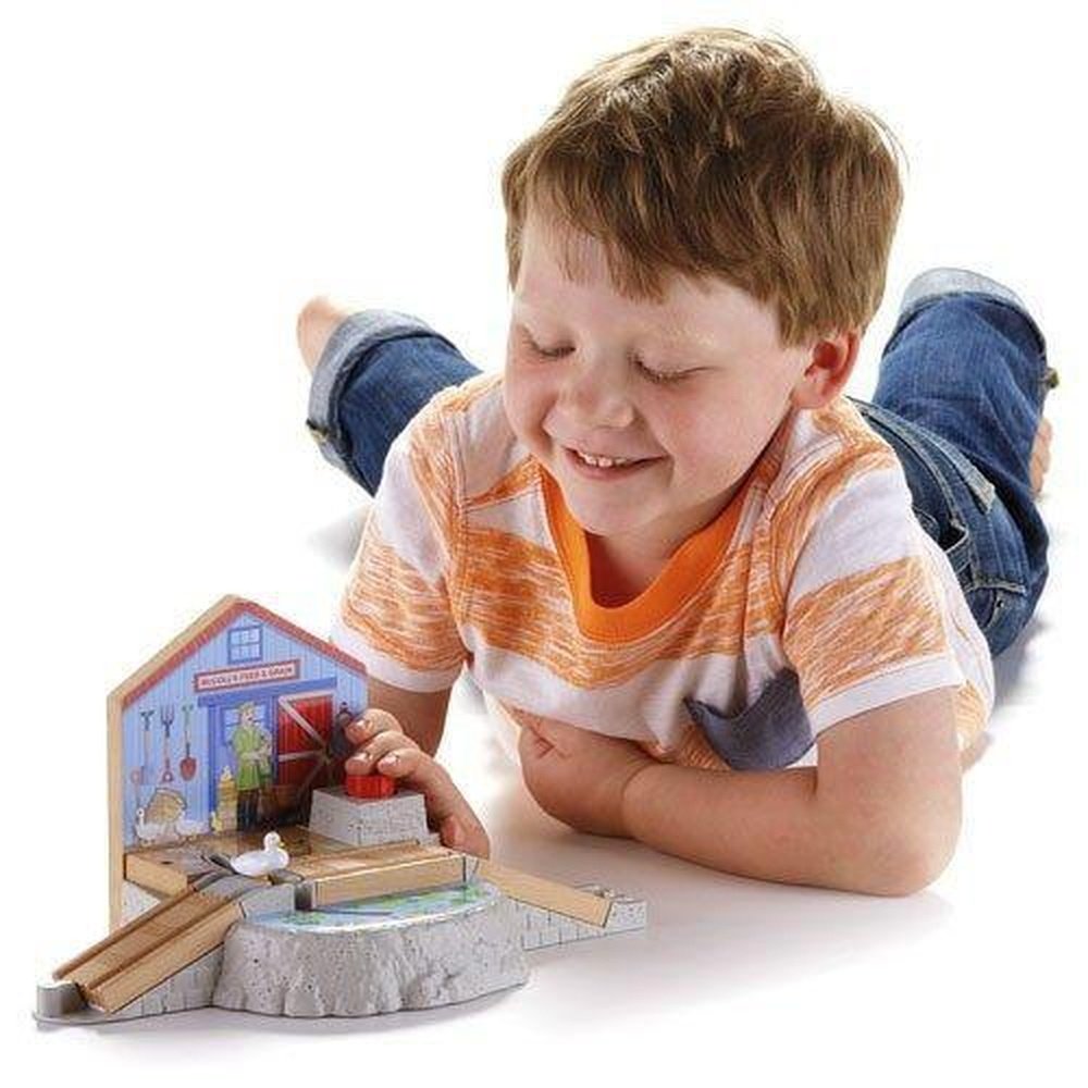 Thomas and Friends Railway Duck Pond Crossing