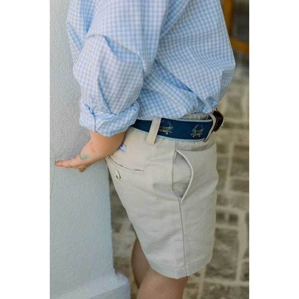 Bailey Boys Apparel & Gifts J. Bailey by Bailey Boys Roscoe Button Down Shirt Blue Check