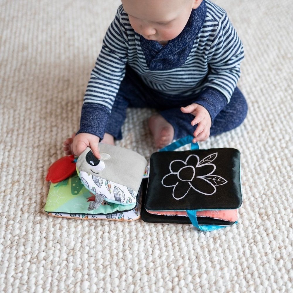 Lamaze Colorful Journey Caterpillar