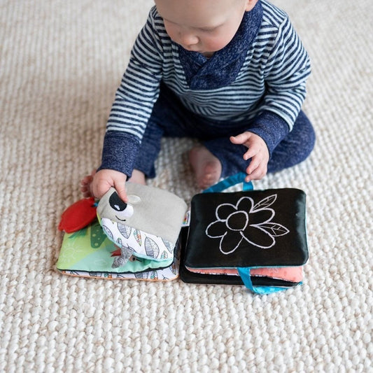 Lamaze Colorful Journey Caterpillar