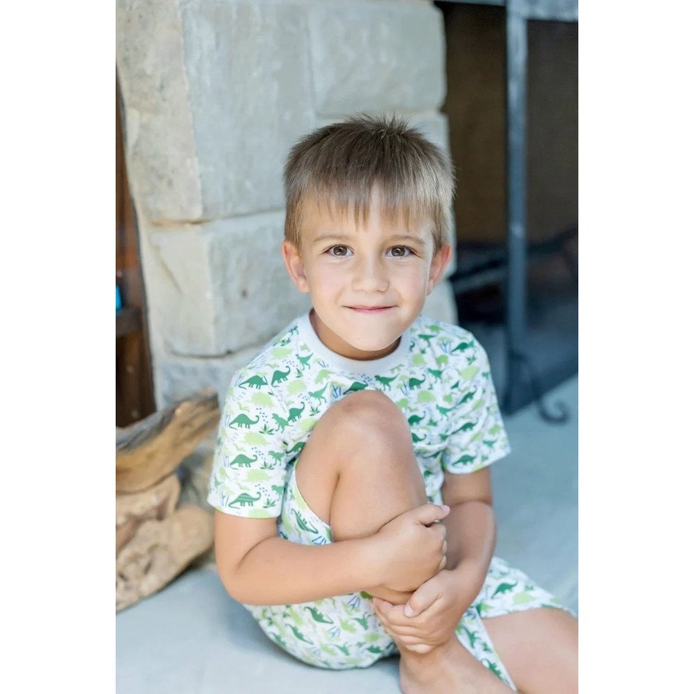 Lila & Hayes Apparel & Gifts Lila + Hayes Charles Set Dino Safari