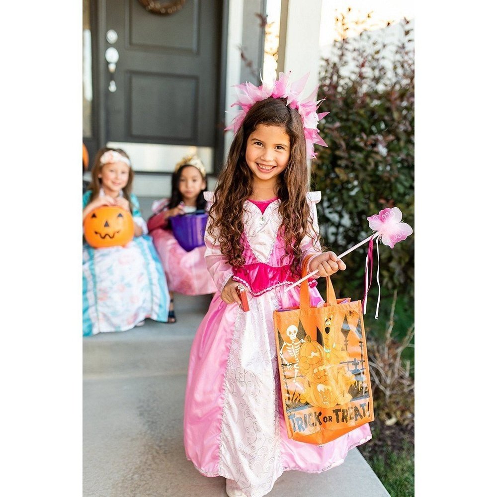 Little Adventures Sleeping Beauty Dress Up