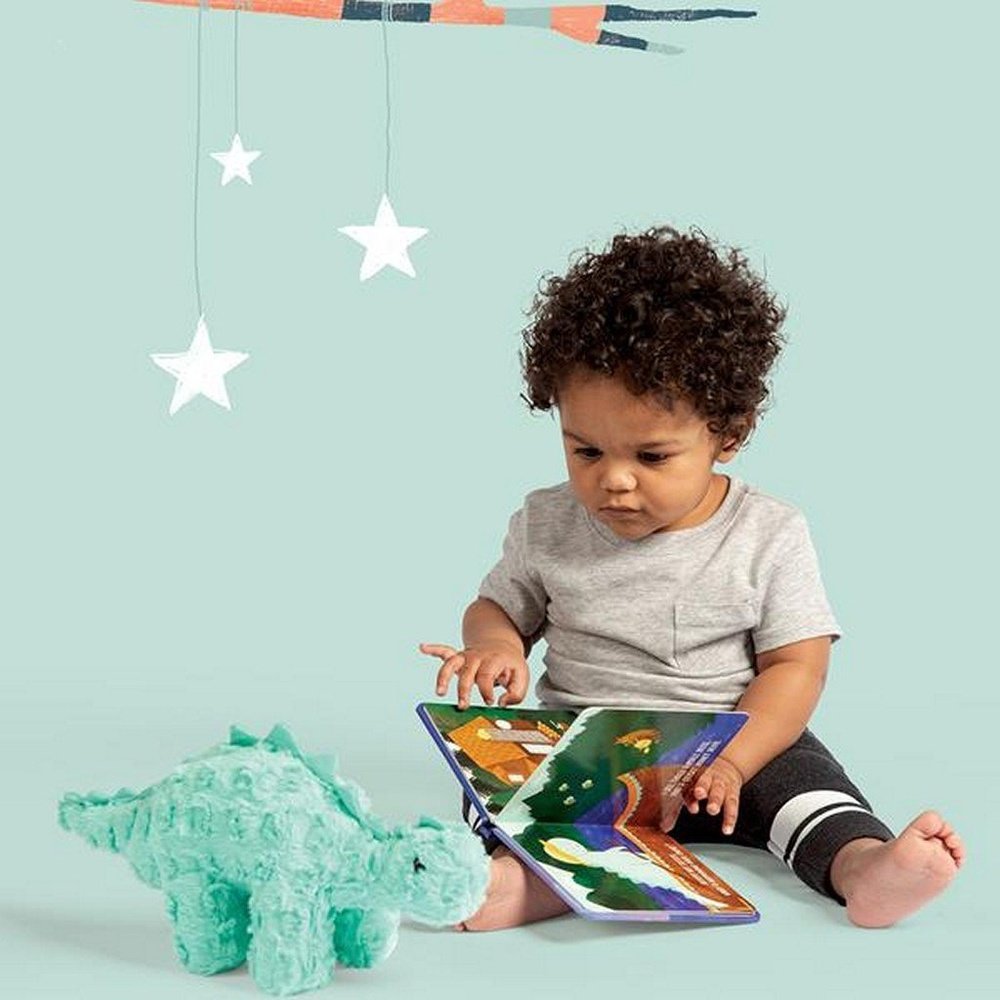 Manhattan Toy CompanyManhattan Toy Company Sleepy Not Sleepy Dino Children's BookBabysupermarket