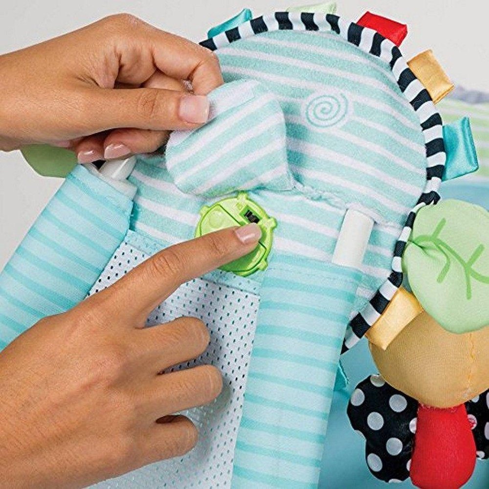 Sassy Baby Wiggles & Giggles Bouncer