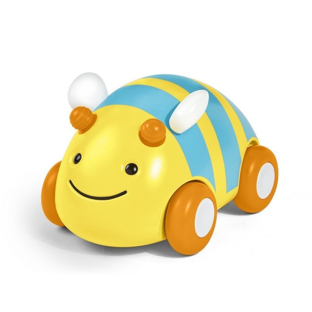 Skip Hop Pull & Go Car