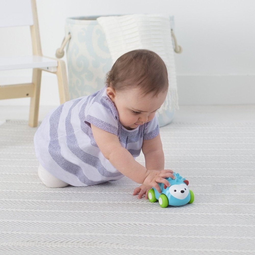 Skip Hop Pull & Go Car