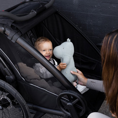 ThuleThule Chariot Sport 2 DoubleBabysupermarket