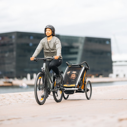 ThuleThule Chariot Sport 2 DoubleBabysupermarket