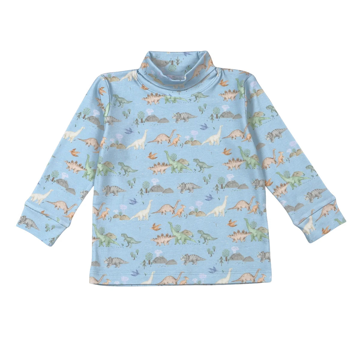 Baby Loren Boys Dino Friends Turtleneck