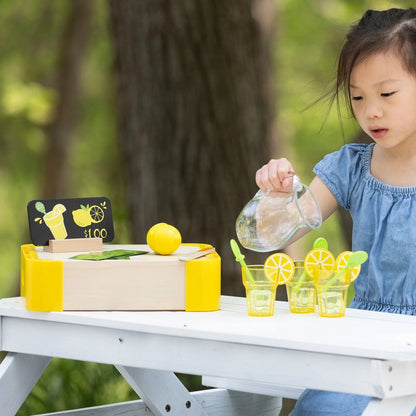 Fat Brain Toy Co. Pretendables Lemonade Set