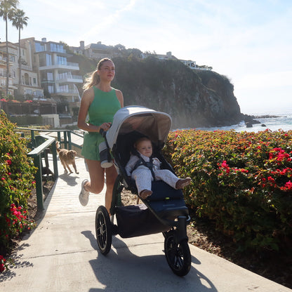UPPAbaby Ridge V2 All-Terrain Stroller