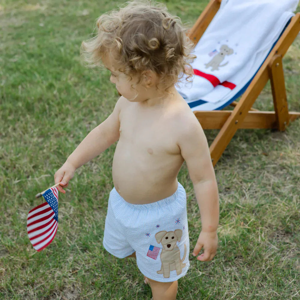 Bailey BoysBailey Boys Patriotic Pup Swim TrunkBabysupermarket