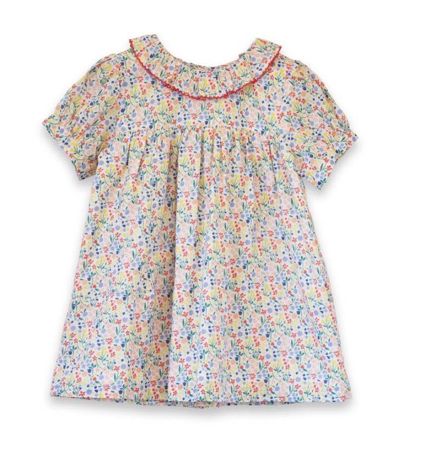 Beet World Petal Confetti / 12-18 Mo Beet World Emily Dress – Petal Confetti