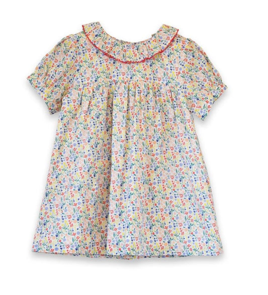 Beet World Petal Confetti / 12-18 Mo Beet World Emily Dress – Petal Confetti