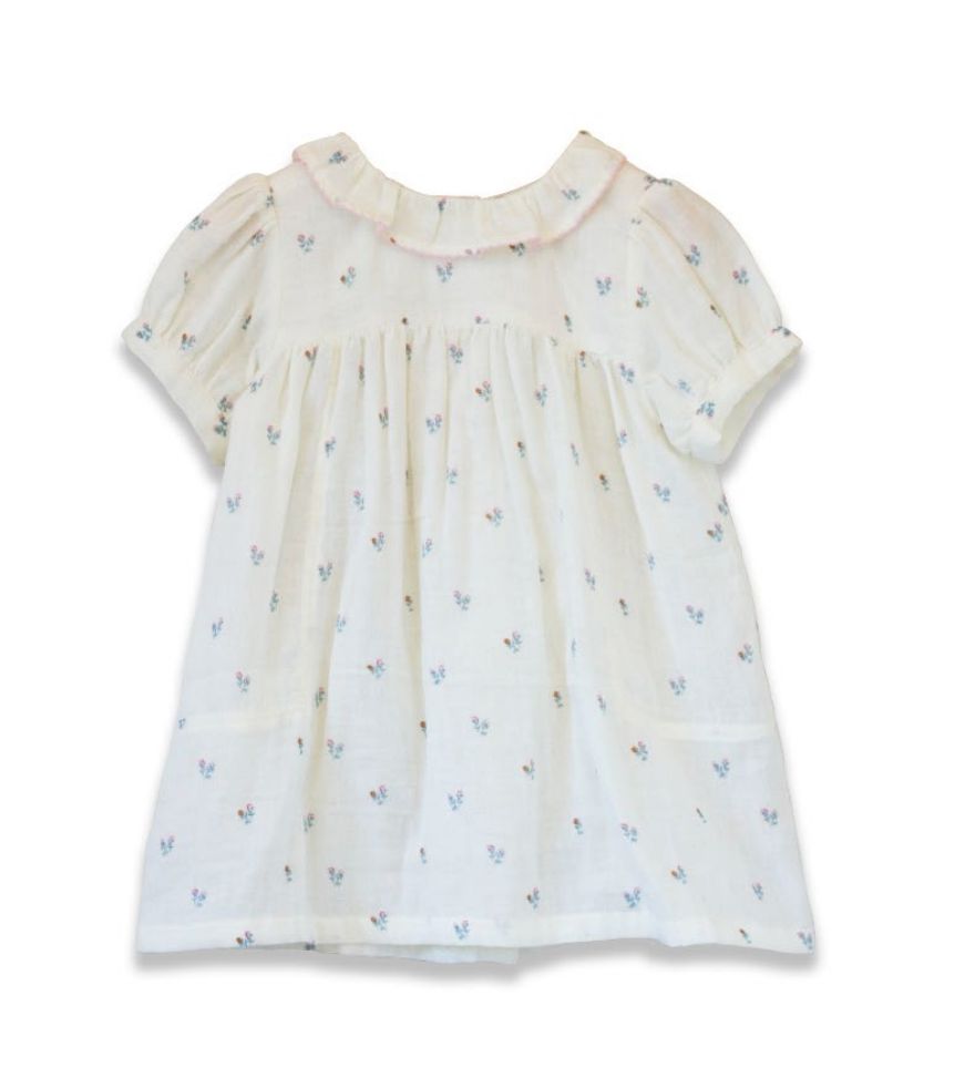 Beet World Apparel & Gifts Petit Floret / 12-18 Mo Beet World Emily Dress – Petit Floret