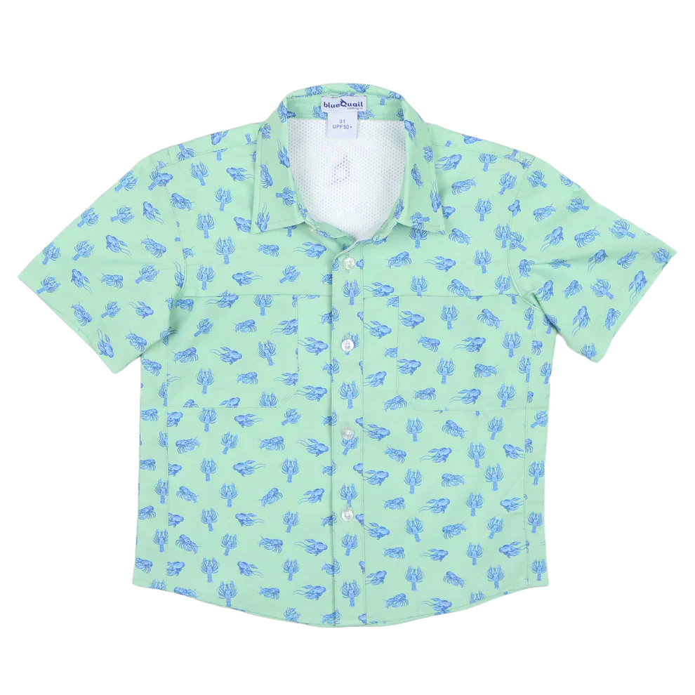 Blue Quail Clothing Co.BlueQuail Boys Everyday Short Sleeve Shirt - MudbugsBabysupermarket