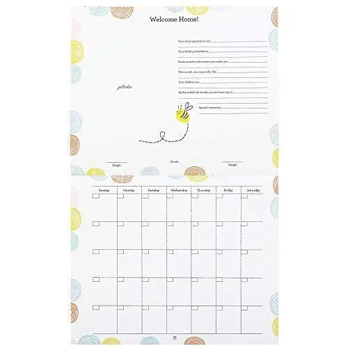CR Gibson Hello Baby , Baby's First Year Calendar