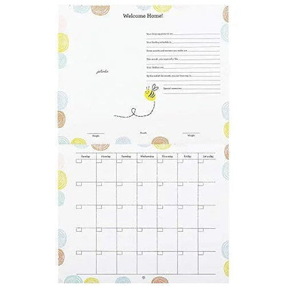 CR Gibson Hello Baby , Baby's First Year Calendar