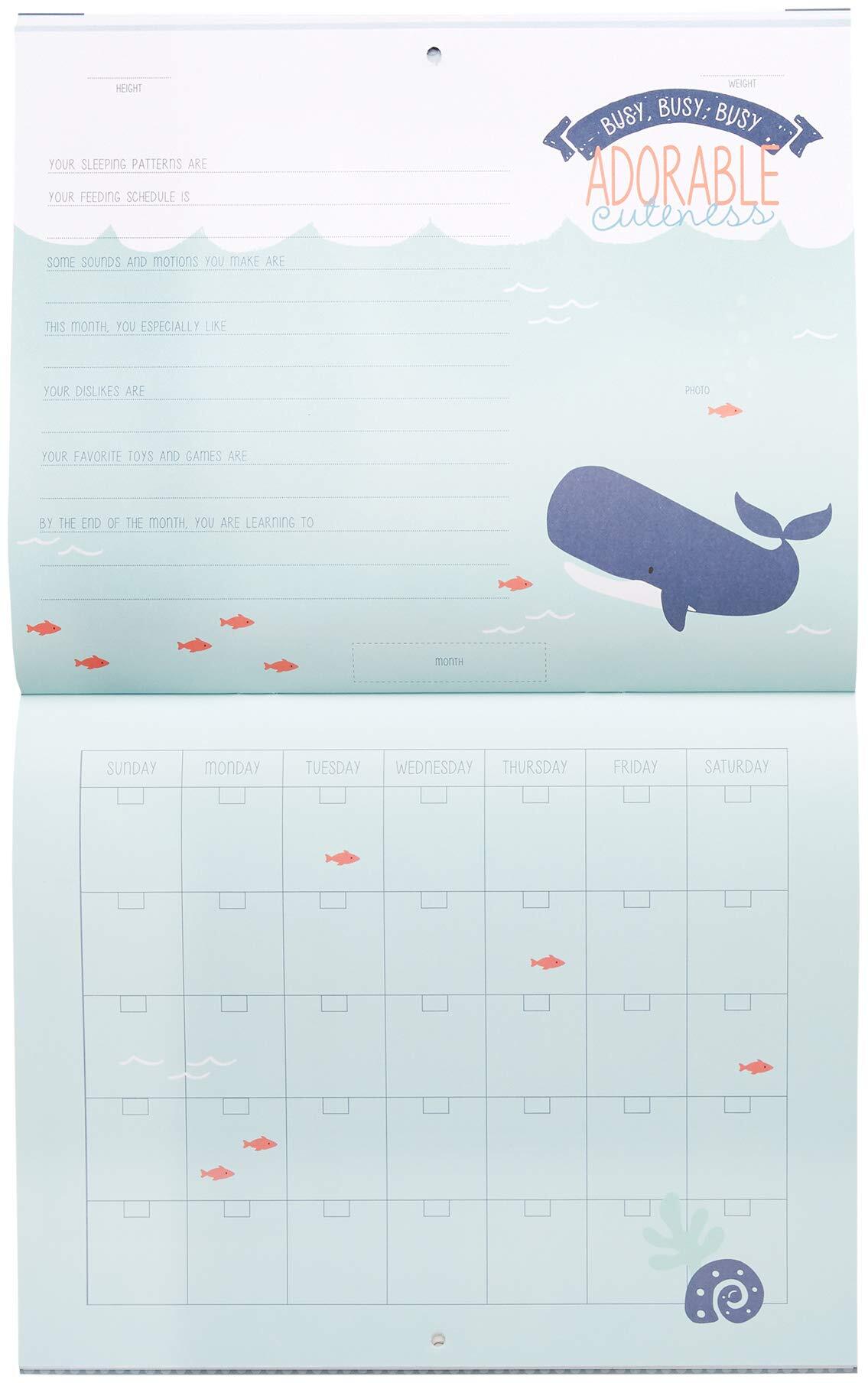 CR Gibson Baby Books CR Gibson Under the Sea First Year Calendar