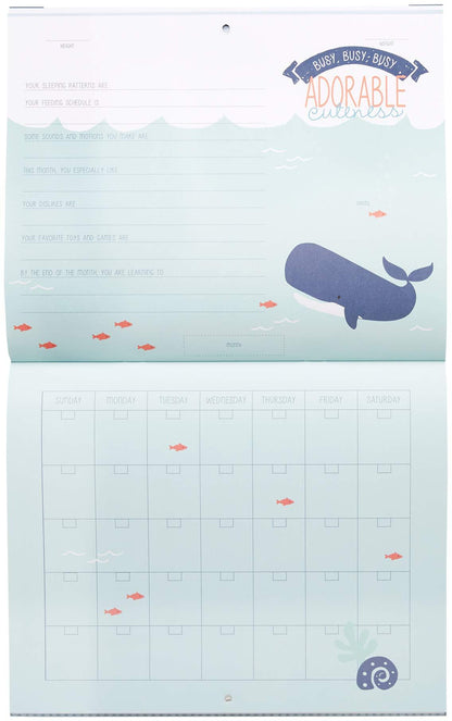 CR Gibson Baby Books CR Gibson Under the Sea First Year Calendar