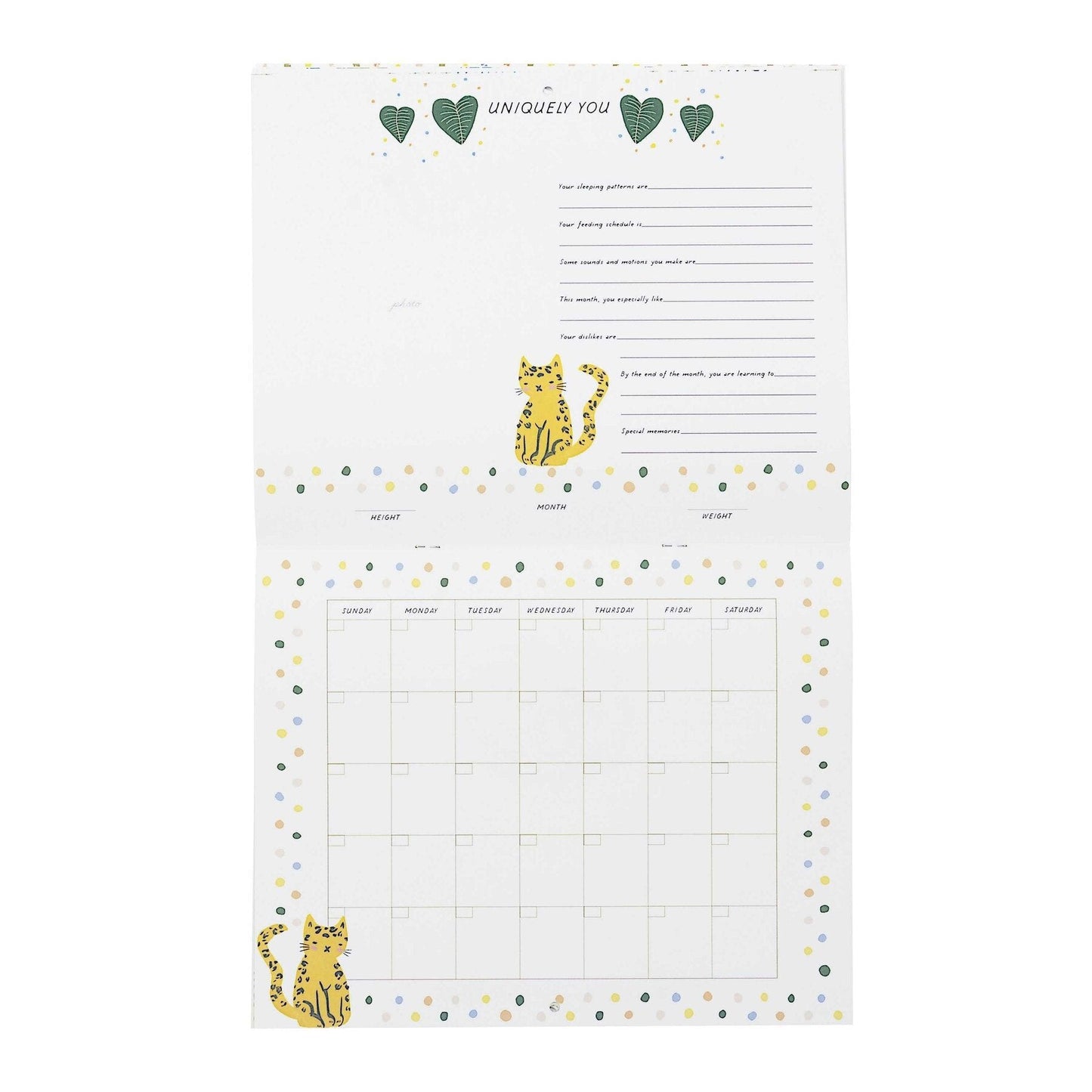 CR Gibson Wild About You Baby's First Calendar