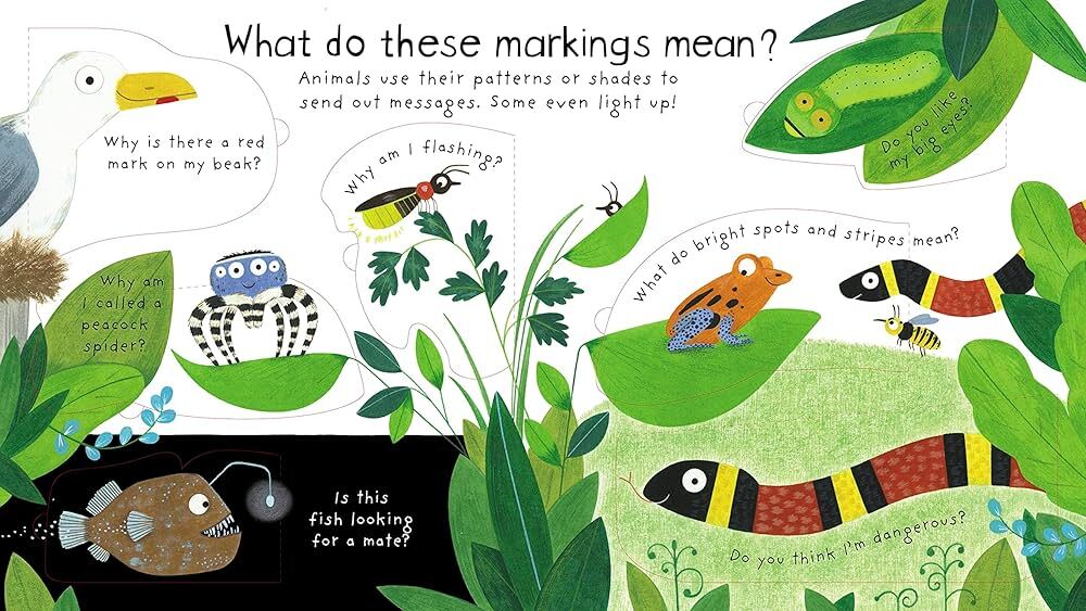 Harper Collins Publishers Toys / Educational / Children Books How Do Animals Talk ? - Lift-the-Flap Book