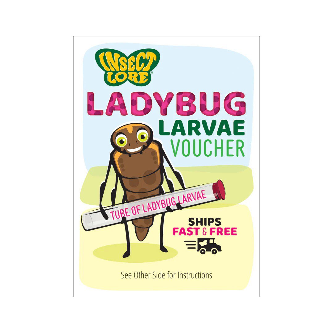 Insect Lore Ladybug Land - Raise & Release Life Cycle Kit