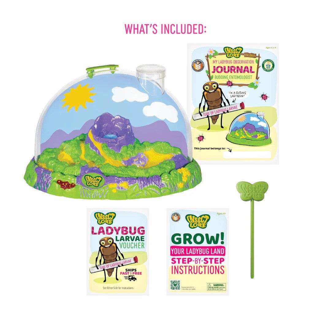 Insect Lore Ladybug Land - Raise & Release Life Cycle Kit