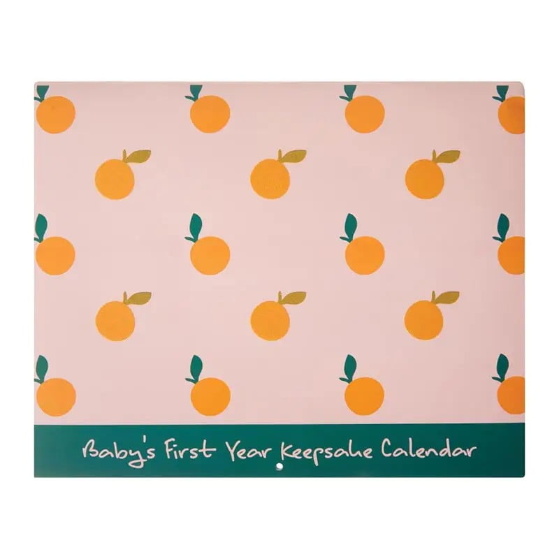 CR Gibson Baby Books Little Darling Baby's First Year Keepsake Calendar