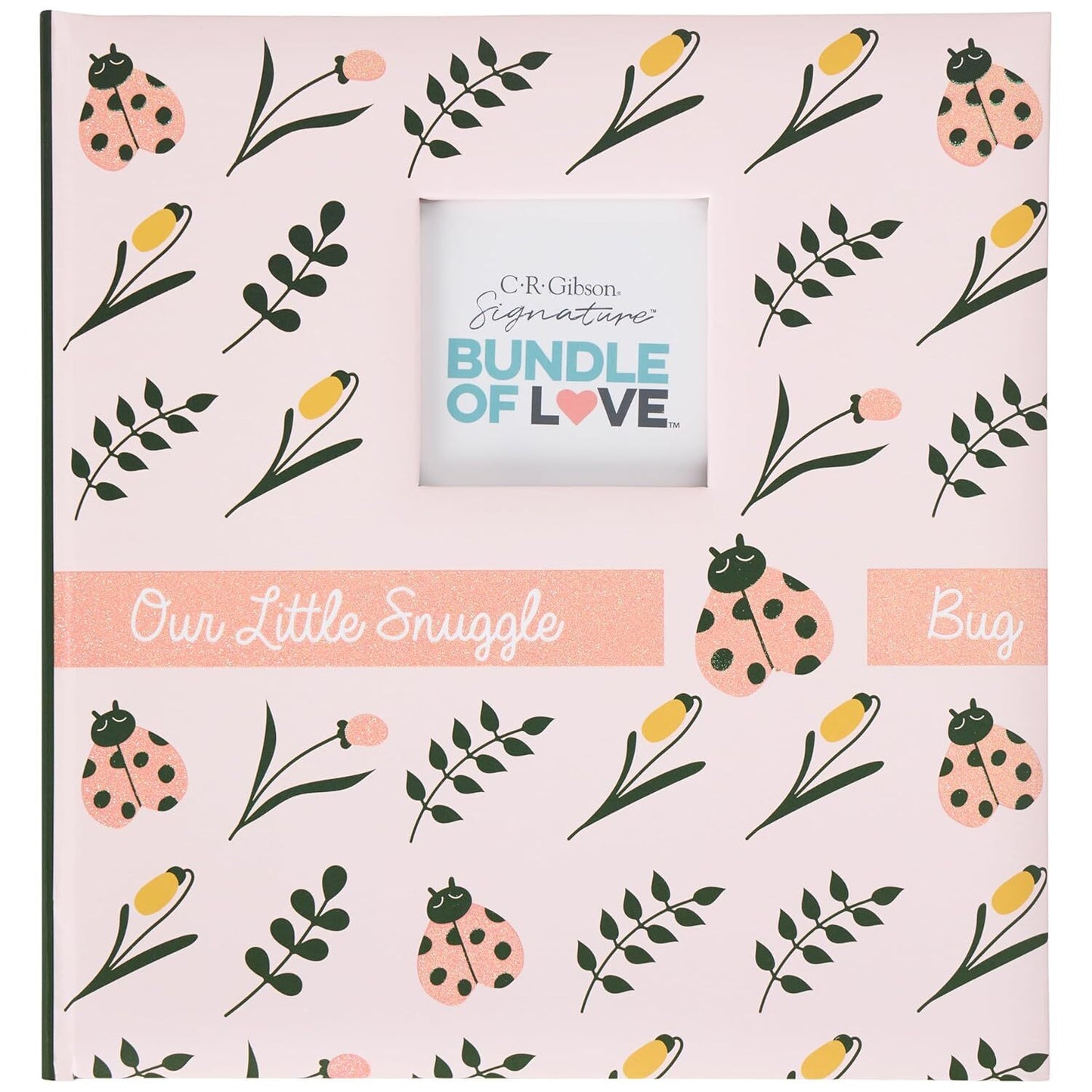 Our Little Snuggle Bug Memory Book